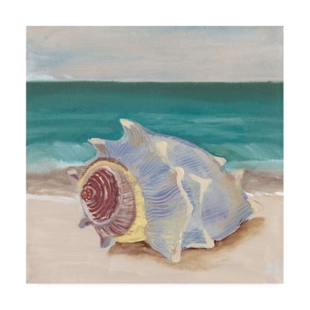 Alicia Ludwig 'She Sells Seashells Frame I' Canvas Art,18x18